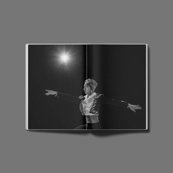 Album „CODA” / Wydanie kolekcjonerskie - Image 4