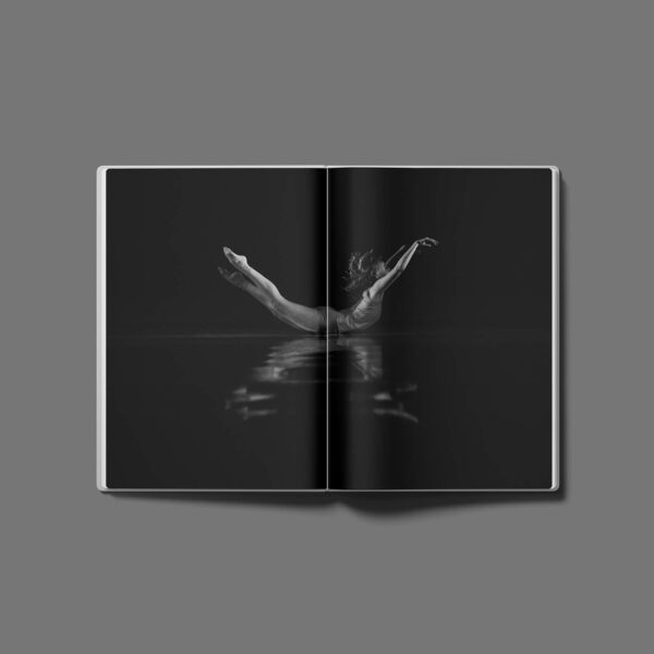 Album „CODA” / Wydanie kolekcjonerskie - Image 6